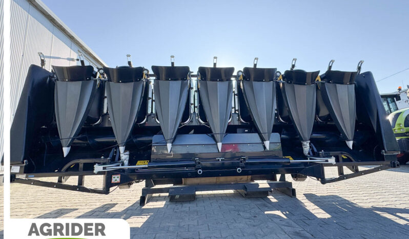 
								OROS Cornado 4+2+2 CS full									