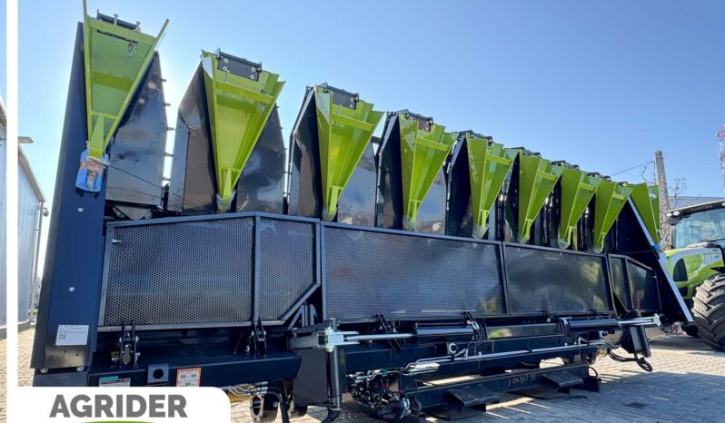 
								OROS Sun 4+2×2 R Z full									